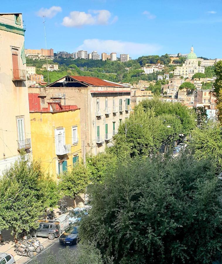 B&B Napoli Citta Dış mekan fotoğraf